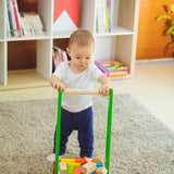 Plan Toys Bird Walker