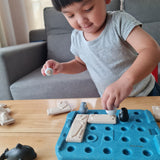 Plan Toys Finding Penguin Game