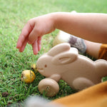 Plan Toys Push Along Bunny - White