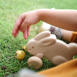 Plan Toys Push Along Bunny - Pink