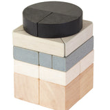 Plan Toys Fractions Blocks