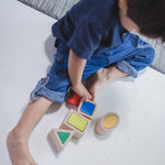 PlanToys Geo Matching Blocks