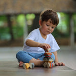 Plan Toys Geo Stacking Rocks