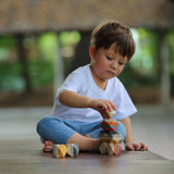 Plan Toys Geo Stacking Rocks