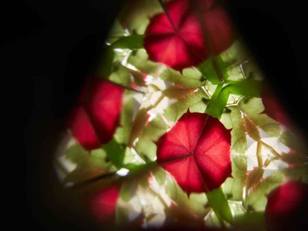 A view through the lens of the PlanToys Kaleidoscope.