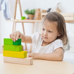 Plan Toys Ordering Blocks