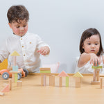 PlanToys 40 Unit Pastel Blocks