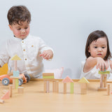 PlanToys 40 Unit Pastel Blocks