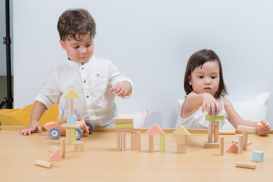 Two children playing with the PlanToys Pastel Blocks set. 