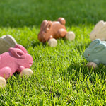 Plan Toys Lapin à Pousser - Blanc