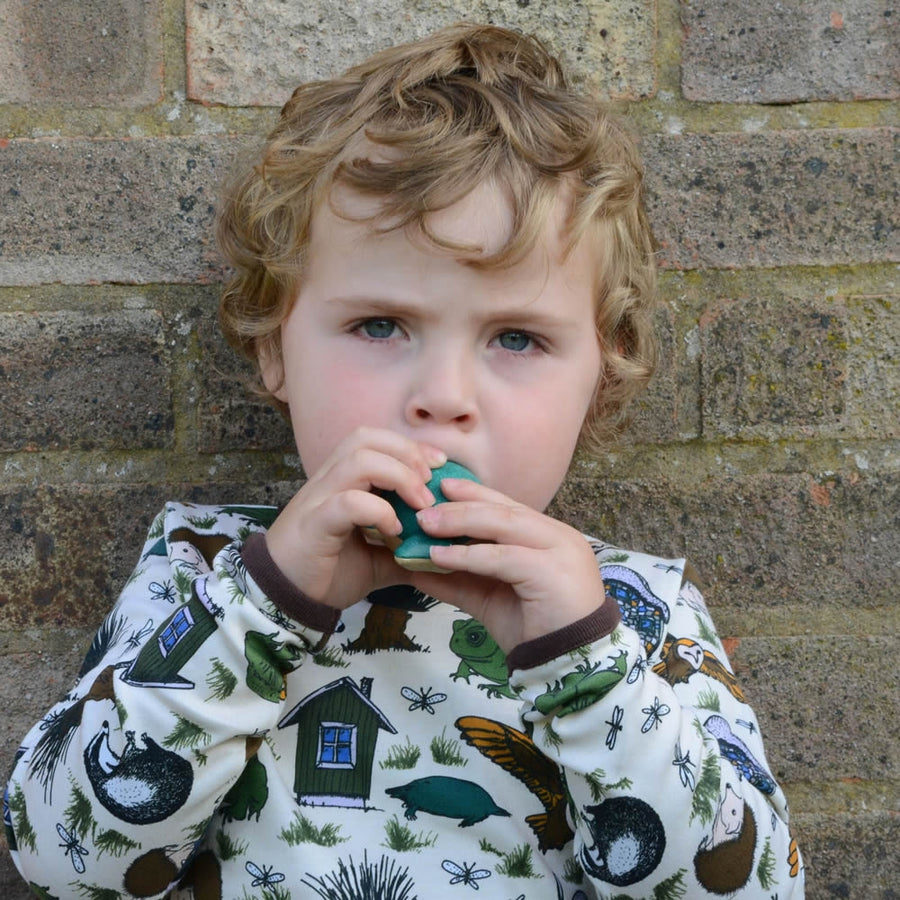 Child leaning against a brick wall blowing on the PlanToys Wooden Whale Whistle Toy