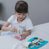 Plan Toys Dentist Set