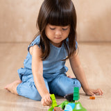 PlanToys Animal Set