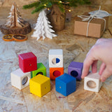 Plan Toys Activity Blocks