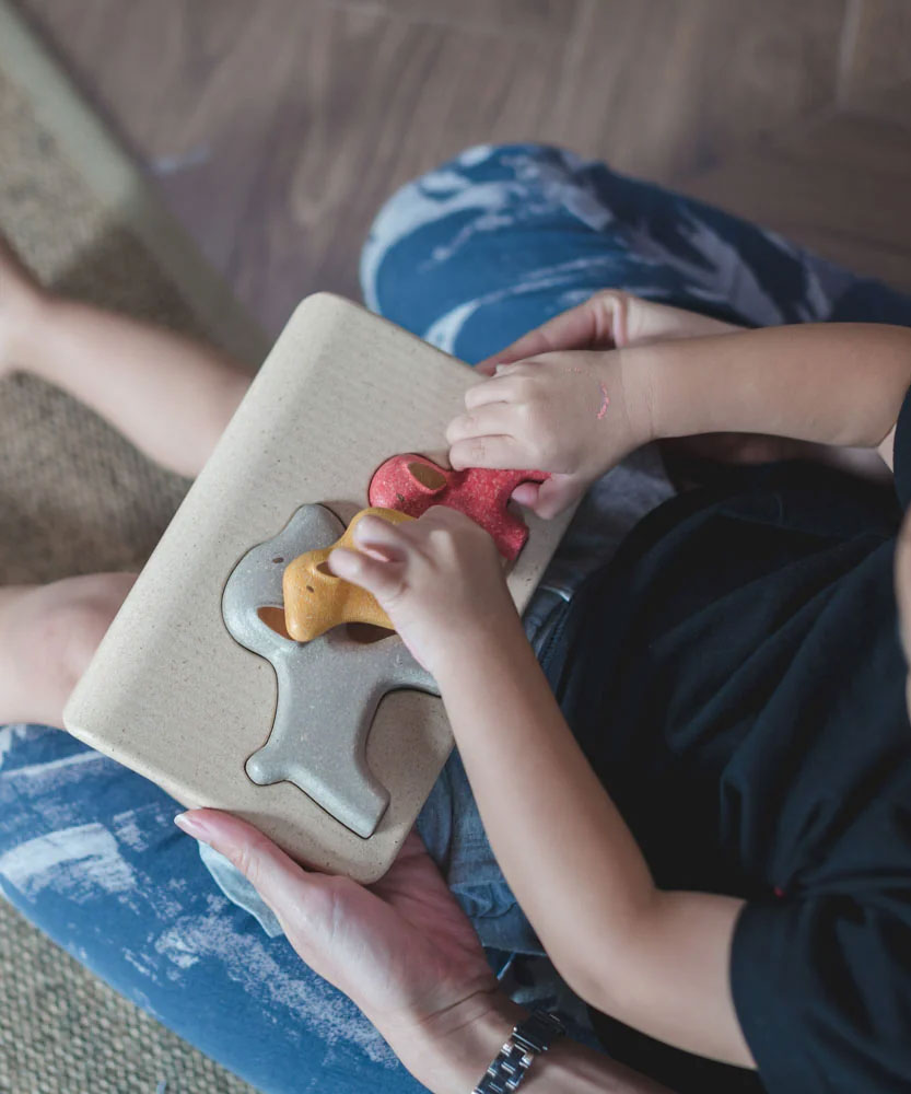 A view from above of a child playing with the PlanToys dog wooden puzzle toy. 