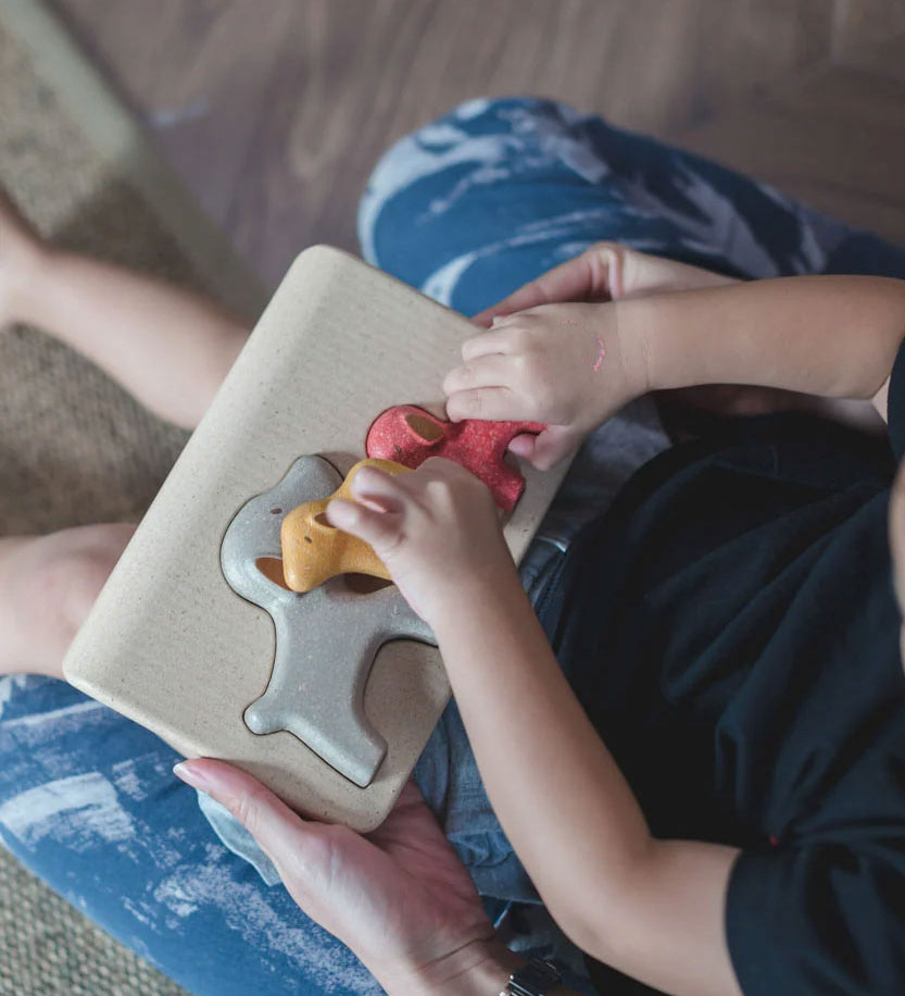 A view from above of a child playing with the PlanToys dog wooden puzzle toy. 