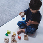 PlanToys Geo Matching Blocks