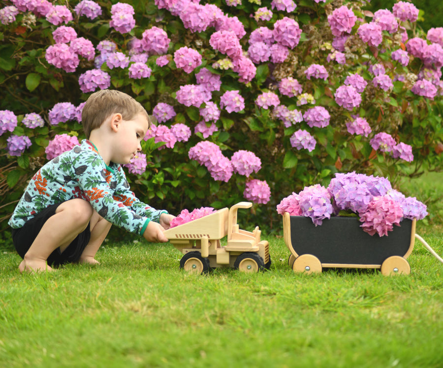 A child playing with the  Plan Toys Special Edition Natural Dump Truck and wooden pull along wagon outdoors on grass. There are purple hydrangeas behind them 