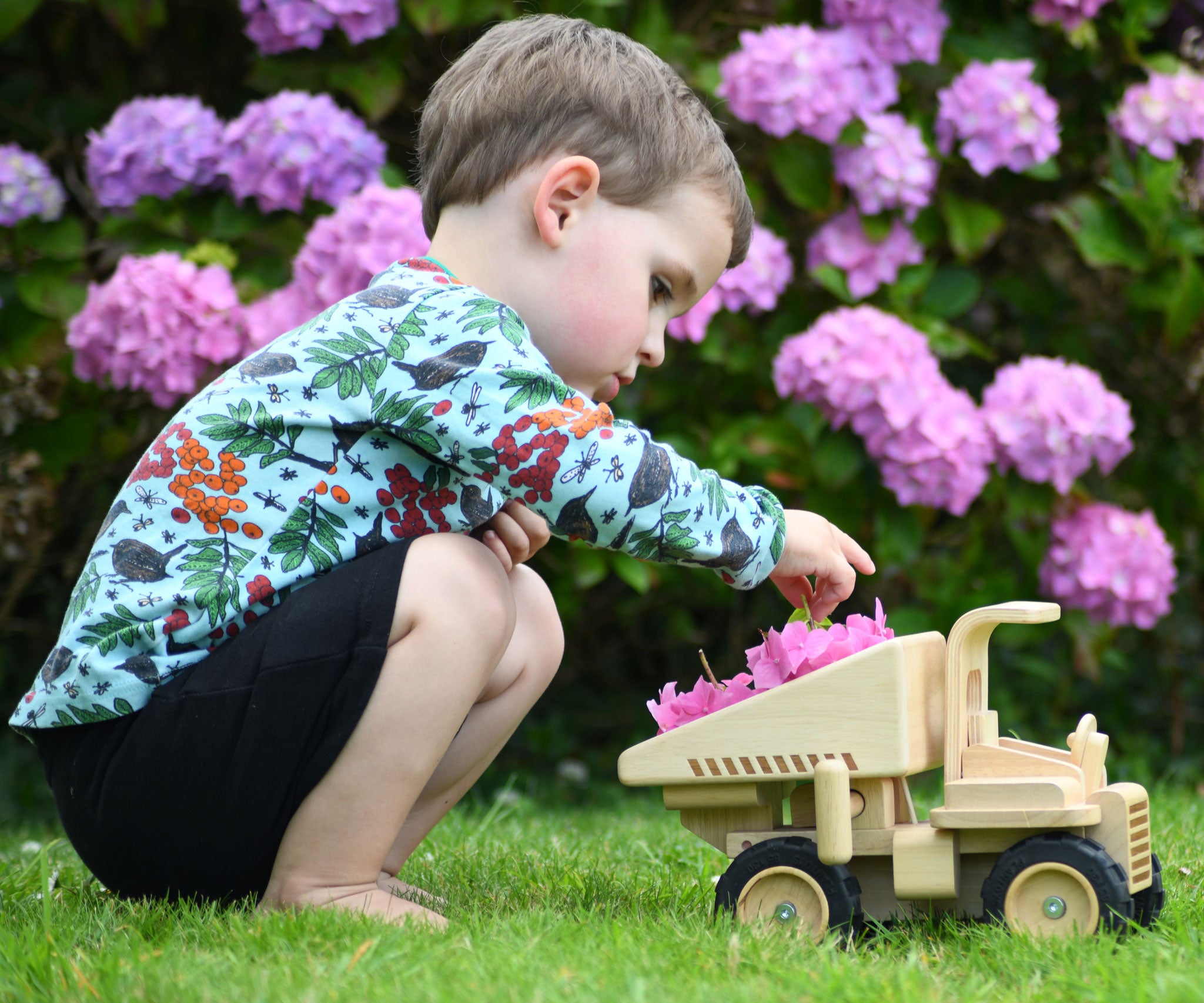 A child playing with the  Plan Toys Special Edition Natural Dump Truck outdoors on grass. There are purple hydrangeas behind them. The child is placing some petals from the hydrangeas into the back of the dumper truck, 