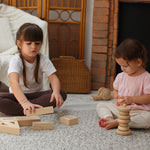 PlanToys Hollow Blocks