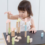 PlanToys 40 Unit Pastel Blocks