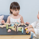 PlanToys 40 Unit Pastel Blocks