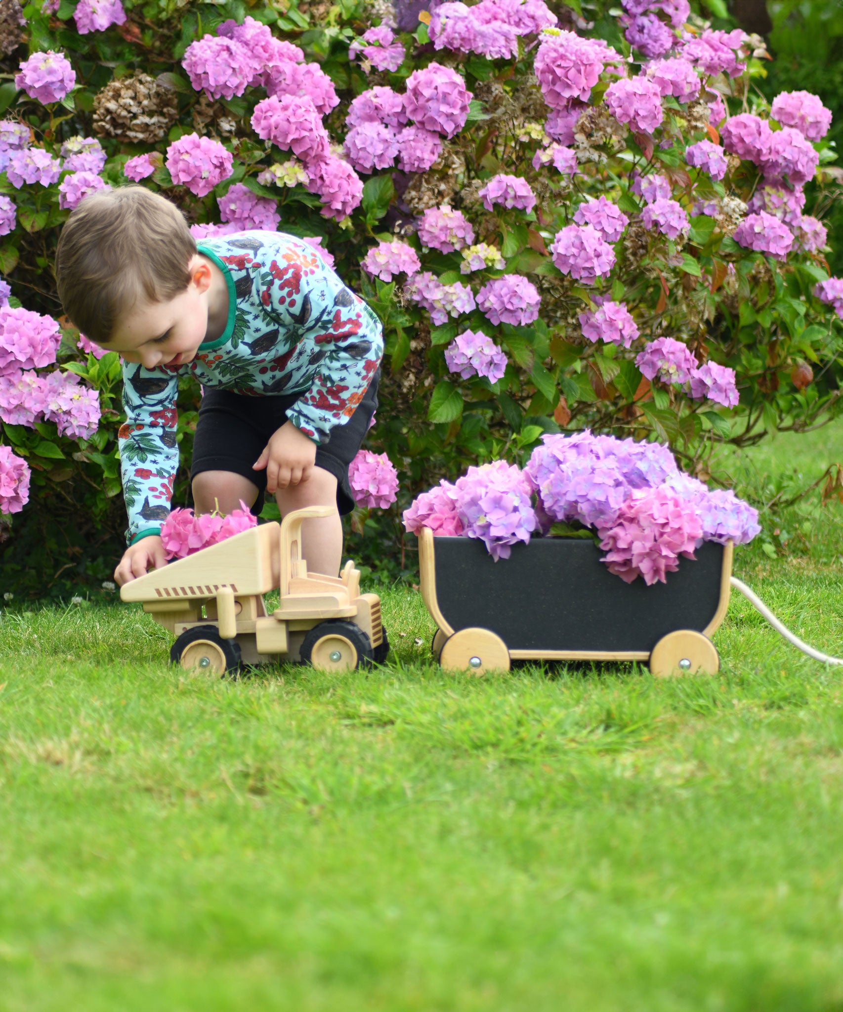 A child playing with the  Plan Toys Special Edition Natural Dump Truck and PlanToys pull along wagon outdoors on grass. There are purple hydrangeas behind them. The child has filled the wagon with hydrangeas and placed hydrangea petals in the back of the dumper truck. 