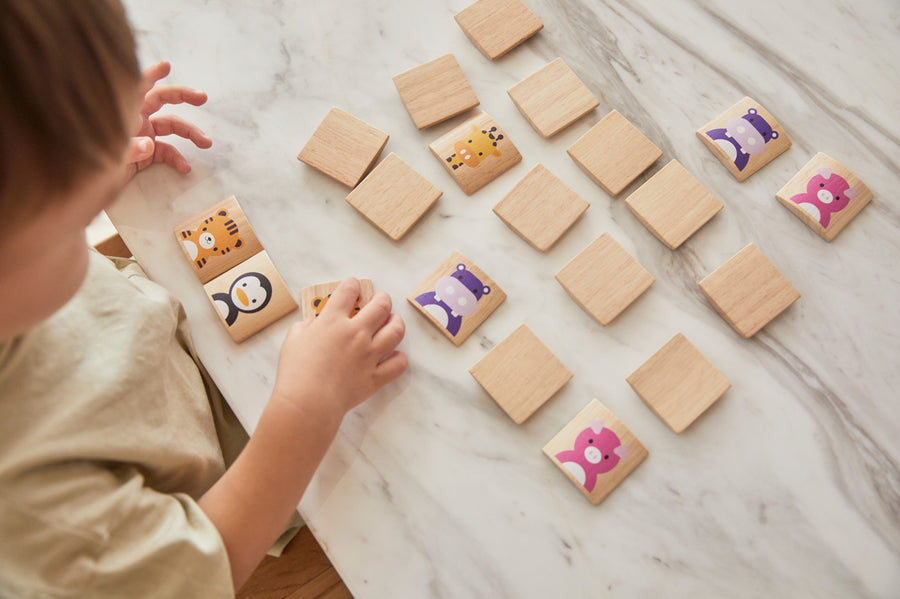 Young boy moving pieces of PlanToys animal blocks guessing game on a white table