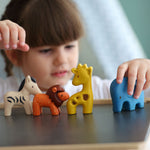 PlanToys Wild Animals Set