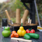 The PlanToys Wonky Fruit & Vegetables on a dark surface in a greenhouse. 