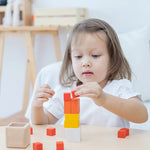 PlanToys Fractions Cubes