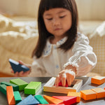 PlanToys Coloured Fraction Blocks