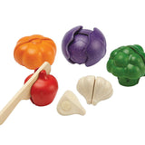 Plan Toys 5 Colours Veggie Set