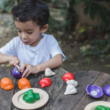 Plan Toys 5 Colours Veggie Set