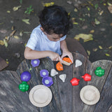 Plan Toys 5 Colours Veggie Set