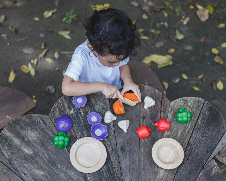 The PlanToys 5 Coloured Veggies play food set includes a red cabbage