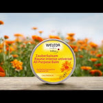 Weleda Bébé Baume Tout Usage - Calendula 25g