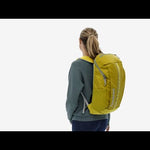 Patagonia Black Hole Pack 25L - Pine Needle Green