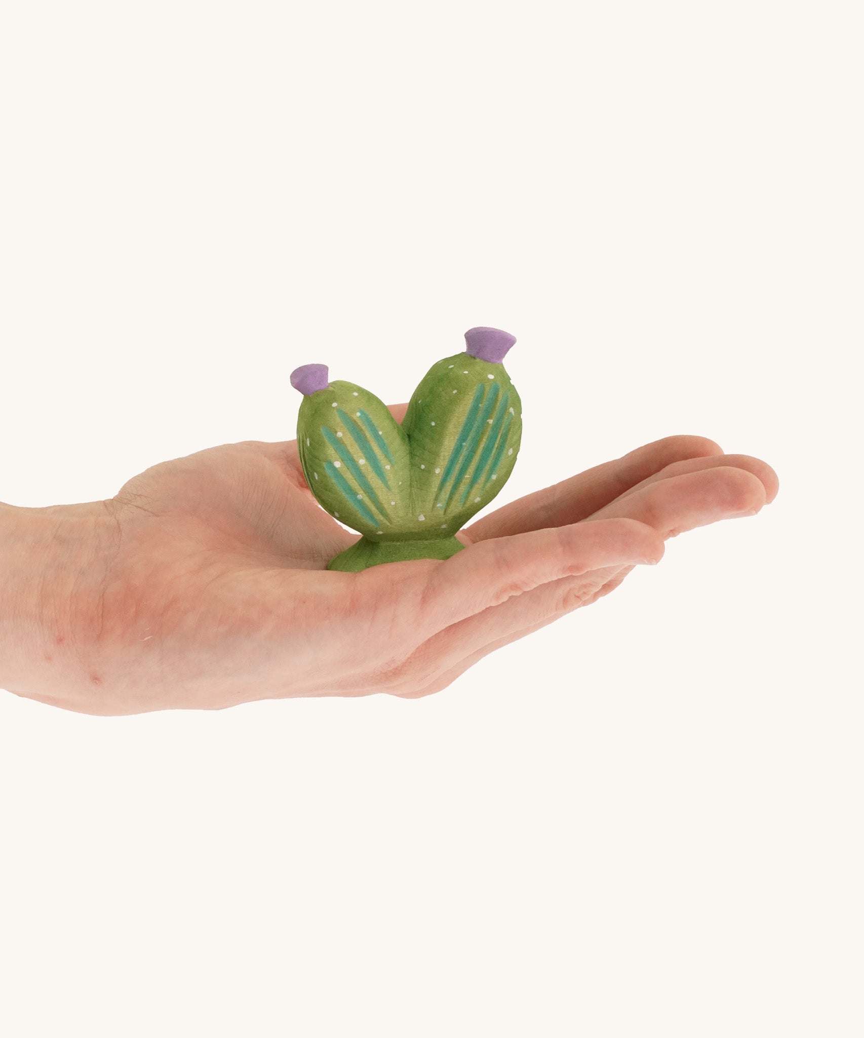 Pin cushion cactus with purple flowers on a hand