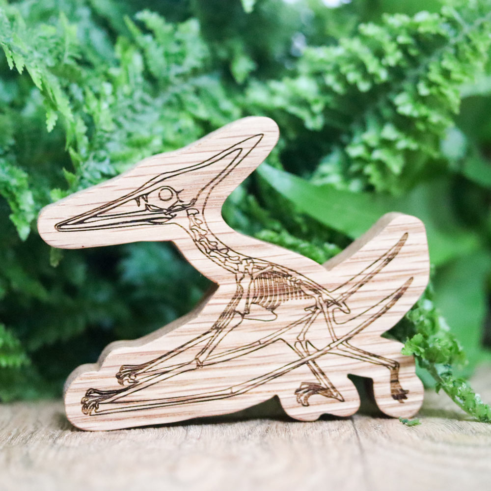 Reel wood plastic free wooden pterodactyl figure in front of a green plant