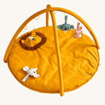 Colocation Baby Gym - Lion