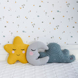 Roommate Star Cushion