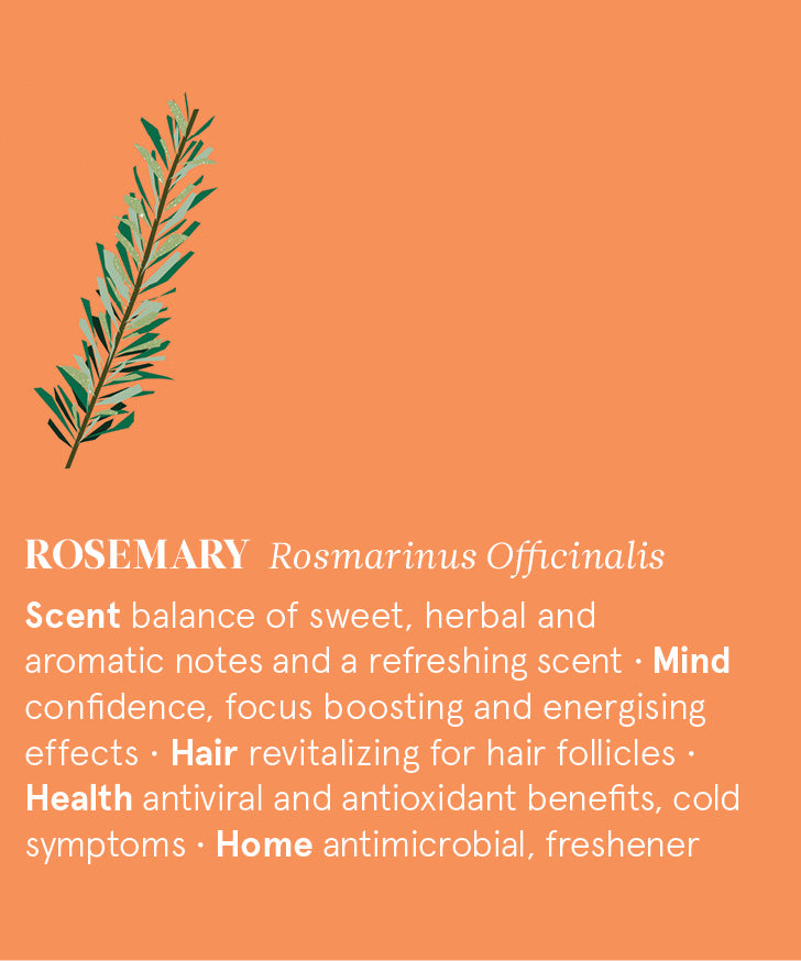 Infographic showing the main benefits of Rosemary  essential oil.