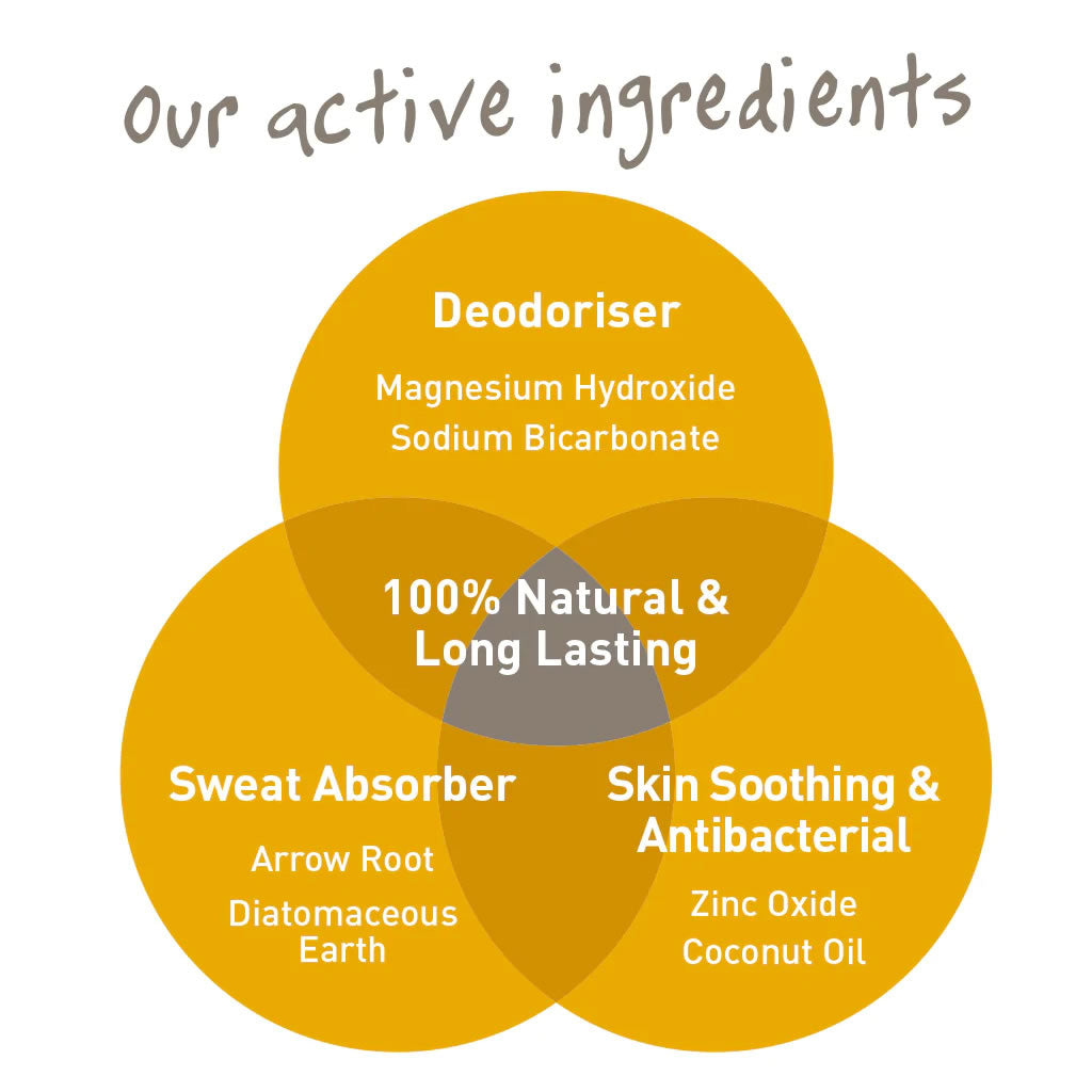 Salt of the Earth plastic-free amber and sandalwood solid deodorant stick active ingredients infographic