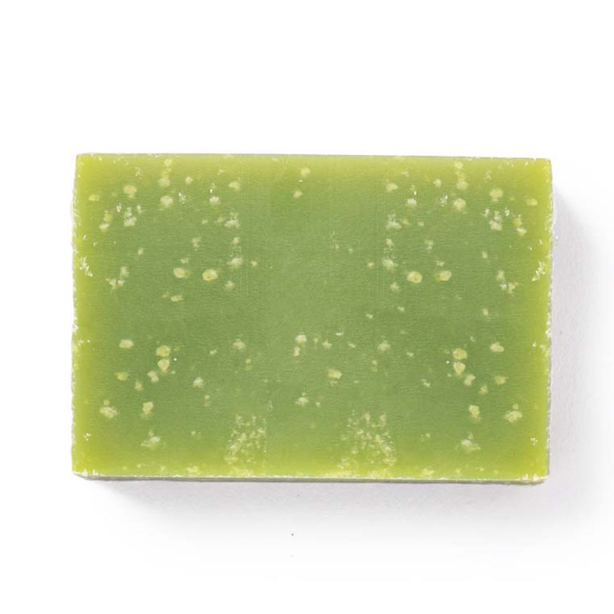 Hand Blocks Hand Soap Bar - Lime & Sandalwood on a white background