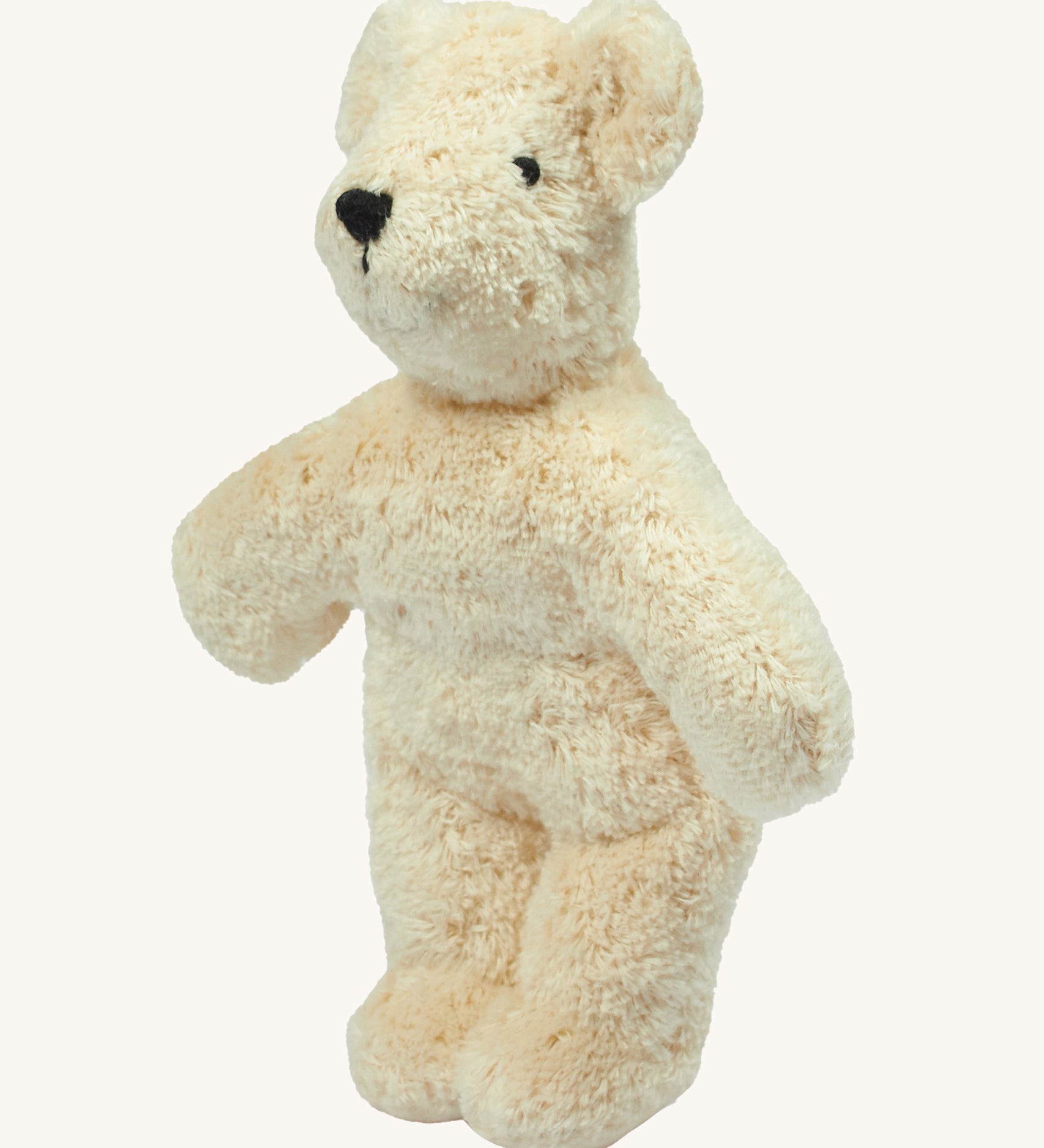 Senger Baby Bear in White on a plain background. 