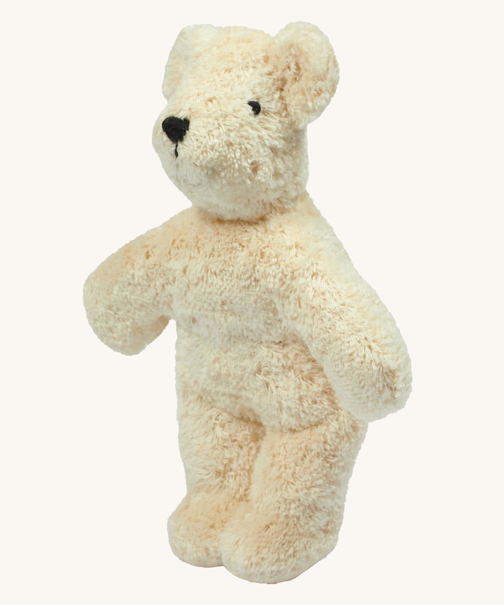 Senger Baby Bear in White on a plain background. 