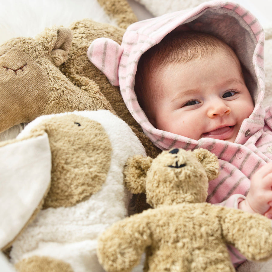 a soft body plush toy bear in light brown/beige