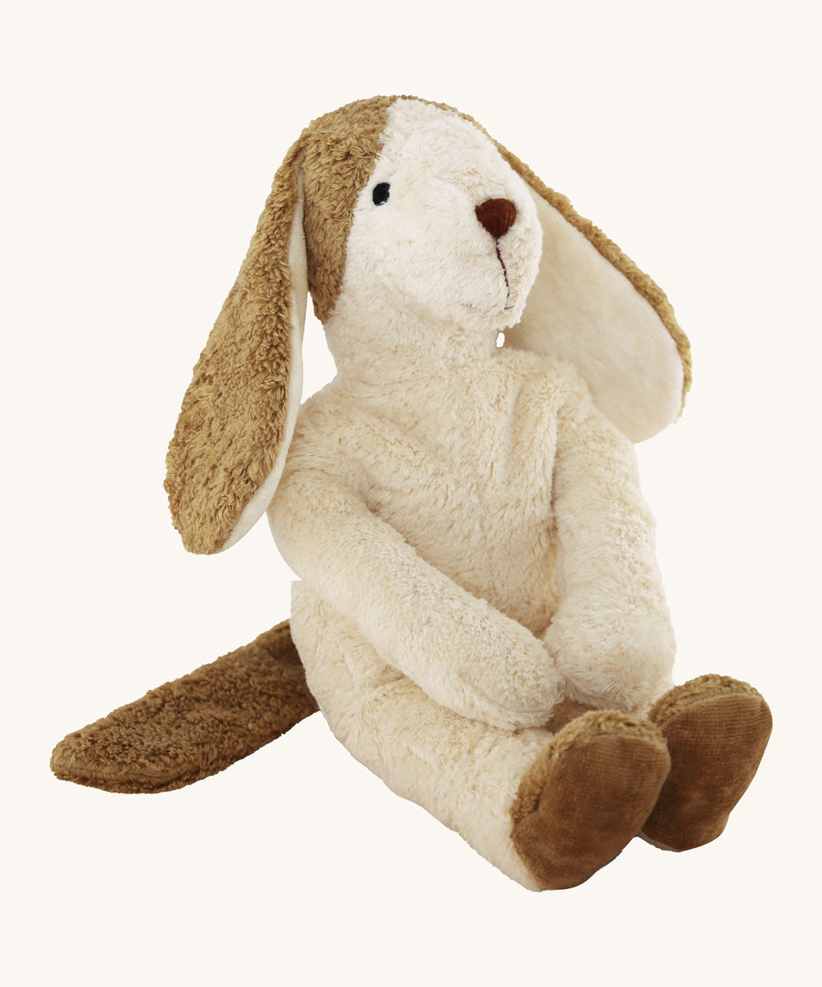 Senger large soft white dog teddy with brown floppy ears on a cream background.