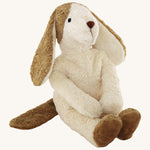 Senger large soft white dog teddy with brown floppy ears on a cream background.